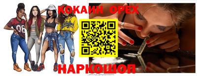 гидра Новодвинск