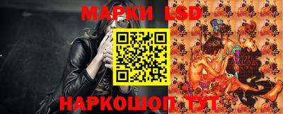 гидра Новодвинск