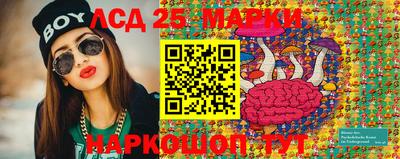 гидра Новодвинск