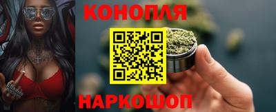 гидра Новодвинск