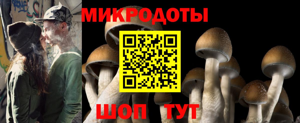 Топки  Псилоцибиновые грибы Psilocybe  Вход с VPN 